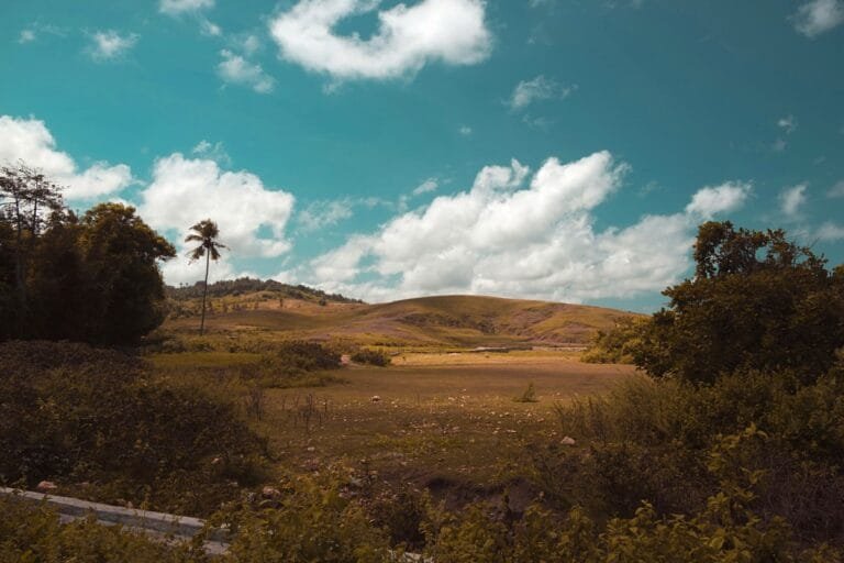 Sumba_3