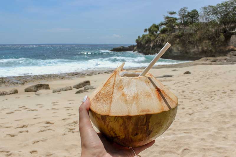 Coconut-bali_