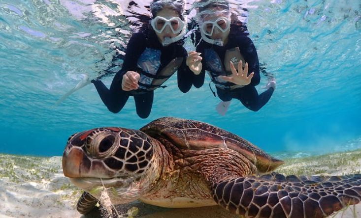 Snorkeling-gili-air4