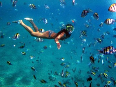 Snorkeling3