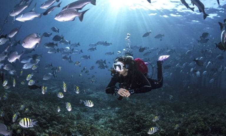 Diving tour to raja ampat on the deluxe boat anne bonny_4