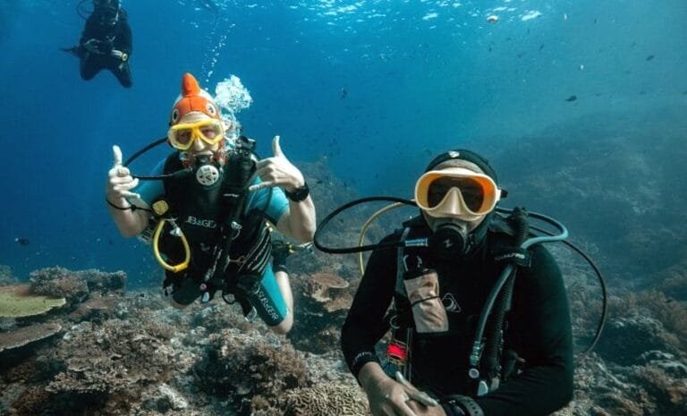 Diving tour to raja ampat on the deluxe boat anne bonny_6