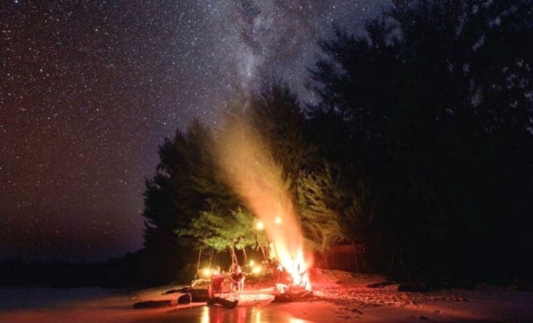 Diving tour to raja ampat on the deluxe boat anne bonny_8